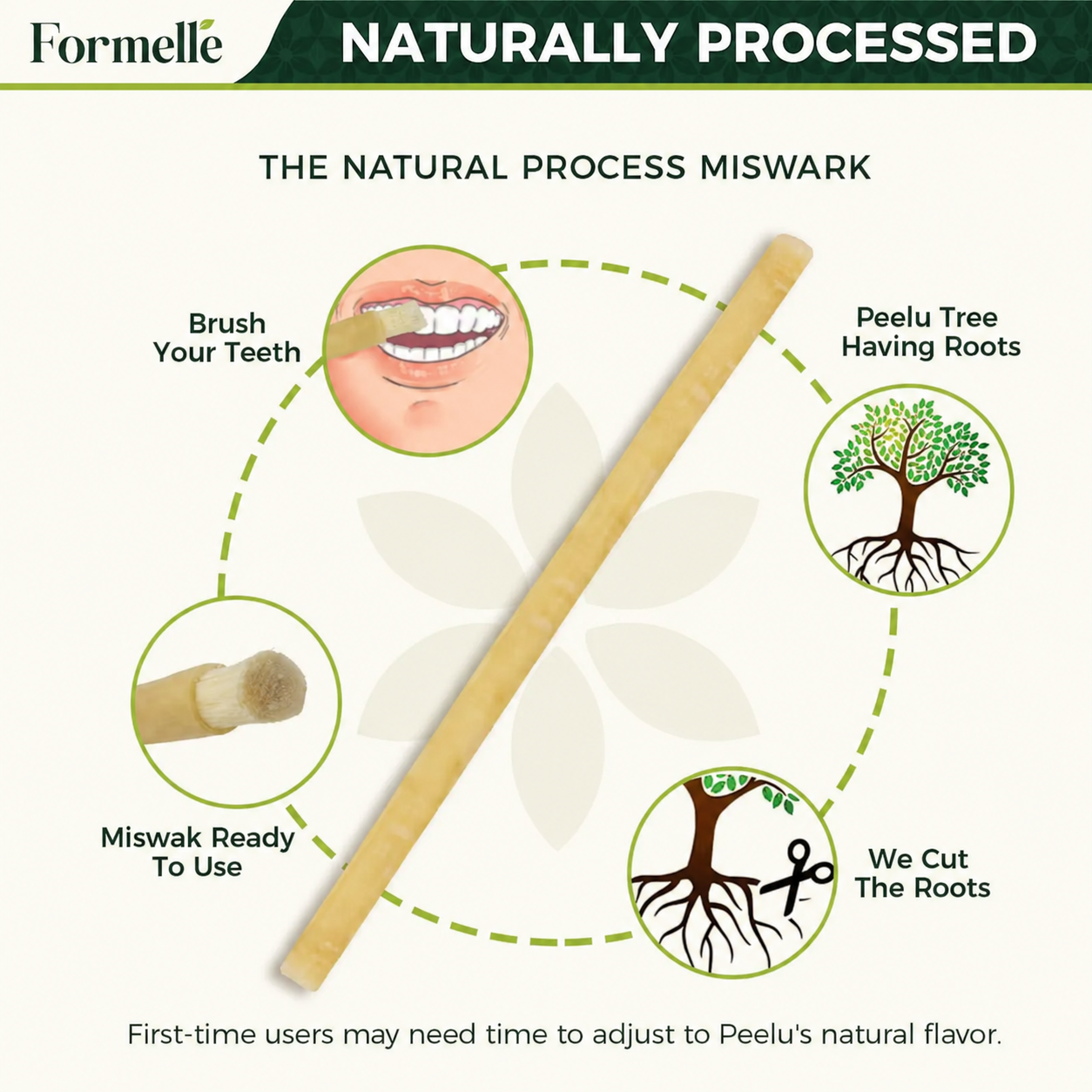 No toothpaste. No plastic. No chemicals.